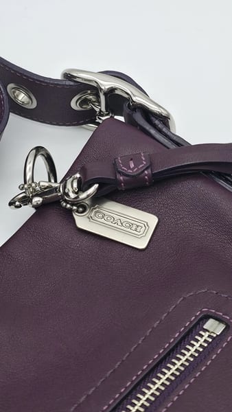 Coach Plum Pebbled Leather Medium Crossbody Silver Tassel Zip, photo 2 of 10